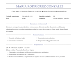 CV diseño