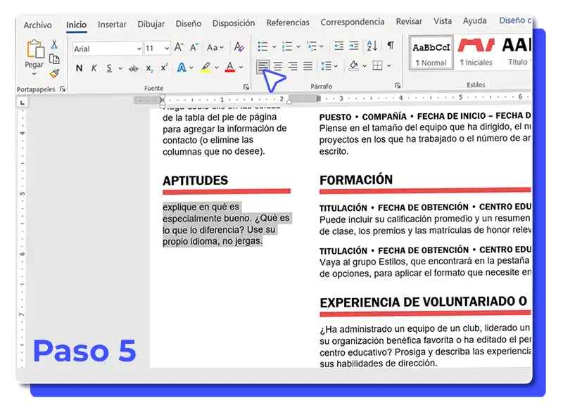 plantilla word curriculum - captura del proceso 5