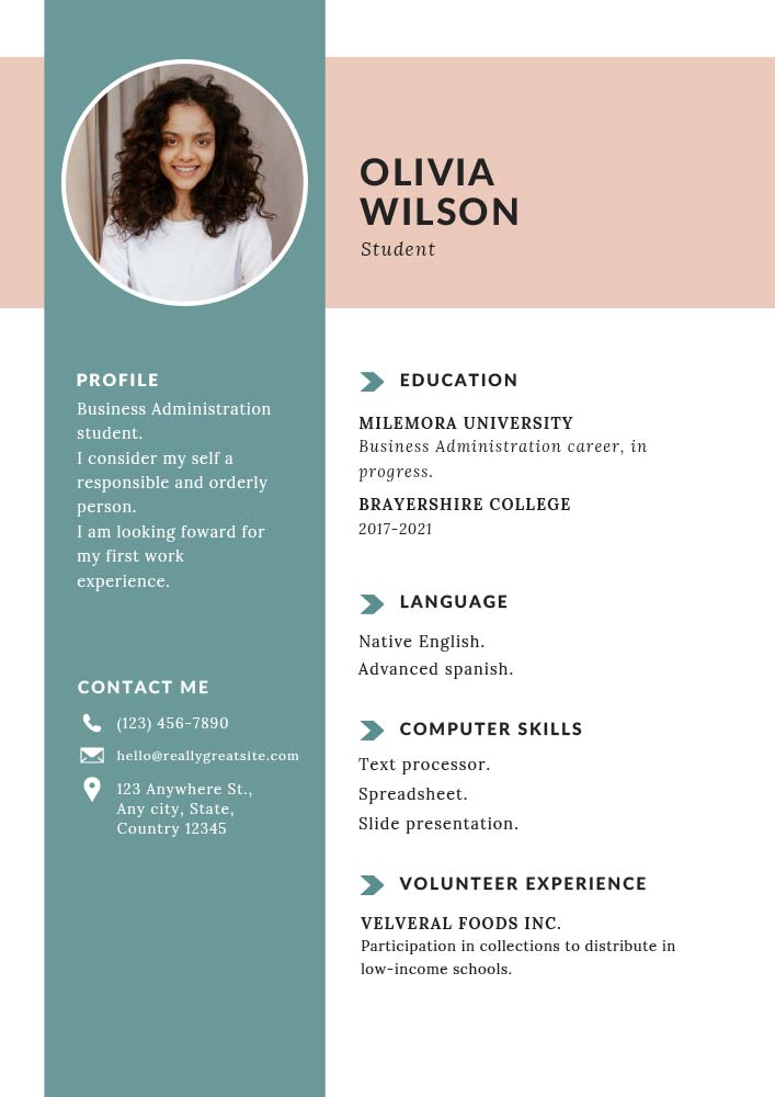 plantilla de curriculum vitae gratis